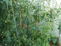 20160724_195259_b.webp