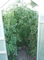 20160724_195534_b.webp