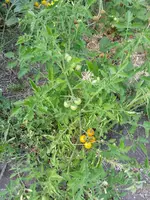20160724_195610_b.webp