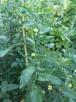 20160724_195614_b.jpg