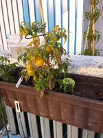 20160724_195922_b.webp