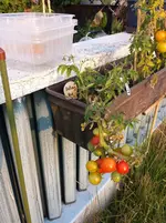20160724_195931.webp