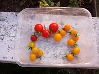 20160724_200257_b.webp