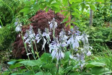 DSCF6963 (2).webp