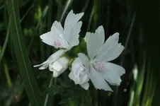 DSCF6950.webp