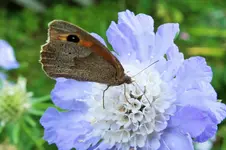 DSCF6972 (2).webp