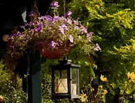 Häbngeampel_bleu_Laterne_900.webp