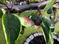 IMG_20160710_082753.webp
