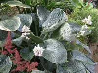 038_1024x768.webp