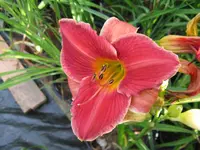 house of lord 2_1024x768.webp