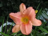 tr_1024x768.webp