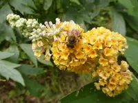 P1210506.webp