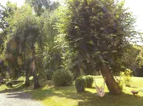 Foto-0004.webp