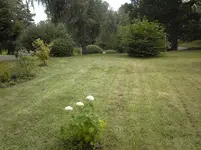 Foto-0007.webp