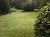 Foto-0010.webp