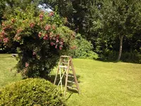 Foto-0015.webp