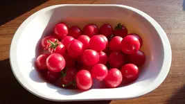 20160719_191220.webp
