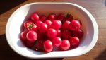 20160719_191220.jpg