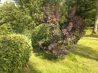 aa (4).webp
