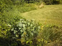 aa (2).webp