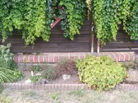 Steingarten2.webp