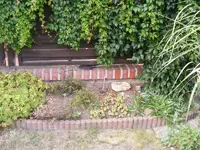 Steingarten3.webp