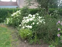 002.webp