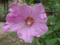 012.webp
