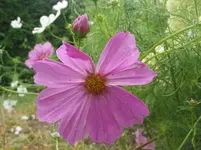 014.webp