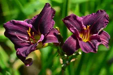 apresmoi.webp