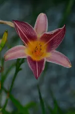 fragezeichen.webp