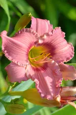 fragezeichen2.webp