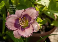 IMG_4936-3.webp