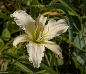 IMG_4967-2.webp