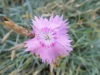 Bilda046.webp