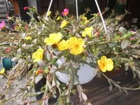 Bilda040.webp