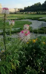 image.webp