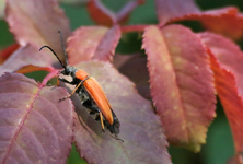 IMG_5236_900.webp