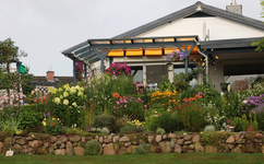 Hangbeet_270202016_800.webp