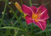 IMG_5000.webp