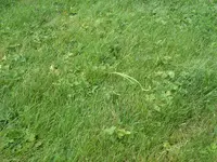 RIMG0554.webp