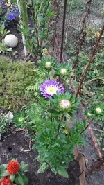 Alles 021.webp