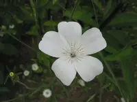 020.webp