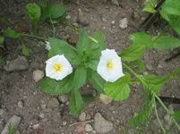 021.webp