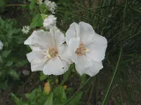 022.webp