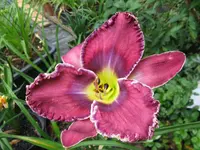 on the brink_1024x768.webp