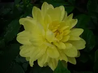 DSCI4397.webp