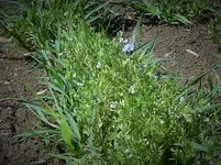 DSCF2619 (2).jpg