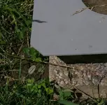 InkaDetail.webp InkaDetail.webp