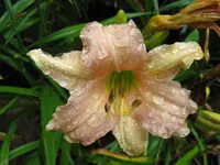 002_1024x768.webp